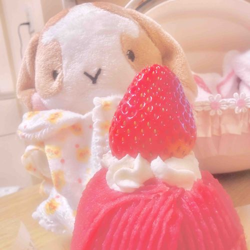シャトレーゼのいちごモンブラン❣️
おいしいね(｡ᵕᴗᵕ｡)