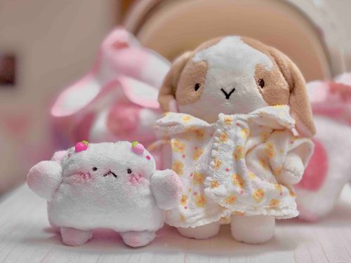 ぬいぐるみが欲しすぎて 飼い主が ぬいぐるみ作っちゃた
いちごとかにのハーフらしいよ たまに一緒にお写真撮るからみんなもよろしく ね((  ˘꒳˘))゛