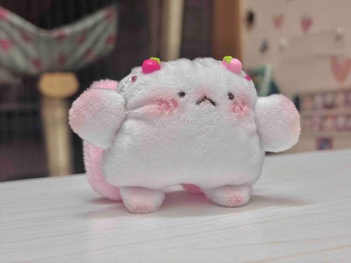 いちご と かに のハーフ の かにちご だょ

よろしく ね V(˙꒳​˙ )V🍓