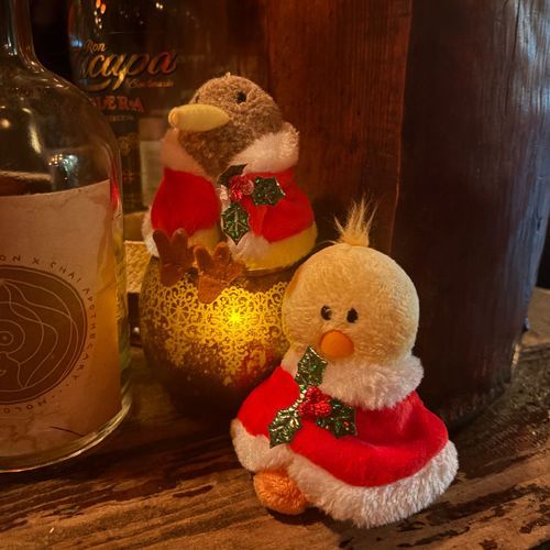 おともだちの
ぴすけ🐥
おそろいだね🎄