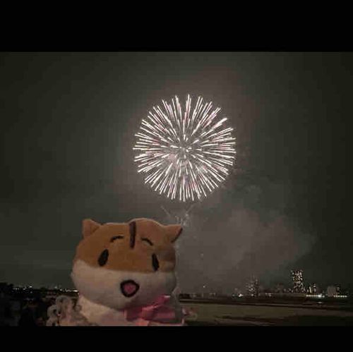 うめうめ。3歳だよ^ - ^。
中国生まれハムスター🐹。パパはねずみ、ママはなす。彼氏はRickという北極熊🐻‍❄️。
