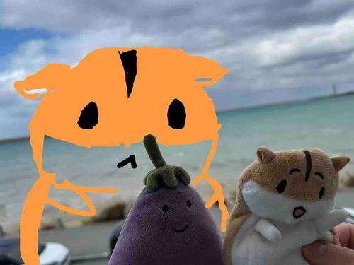 家族旅行✈️(僕はホテルにいた...)