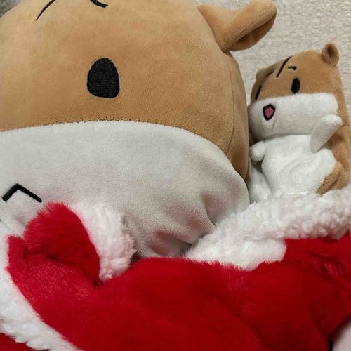 パパ身長高い！！