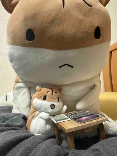 パパと一緒にIpadとPCの使用方法勉強中...😖
