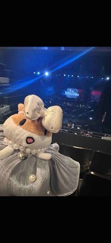 ミュージカルに観に行った💃🐹