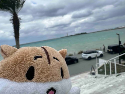 海は綺麗
私の鼠生を楽しむ🎸