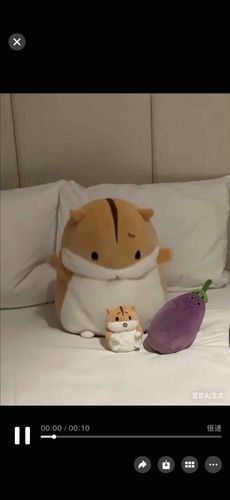 AIで僕と家族の動画を作ったけど...アプリで動画アップロードできないかい。ねずねず。🐹