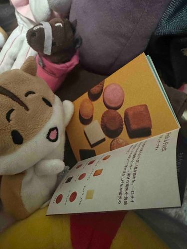 勉強大事！(美味しいケーキ🍰の勉強も...)^ - ^