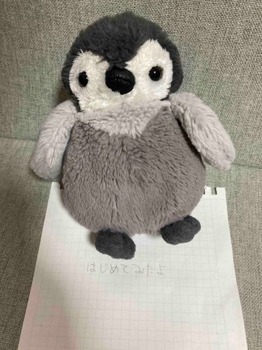 はじめて投稿ですーいえい