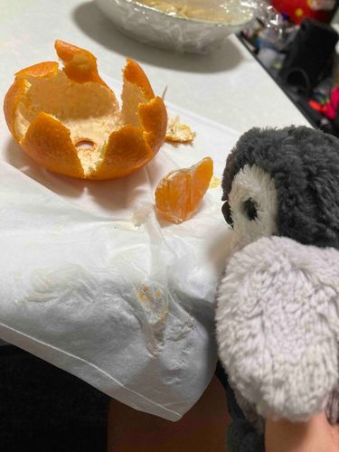 でも普通にうまかった😋なんかみかんの真ん中ささくれみたいになってんのよ
あといっこぉ😭