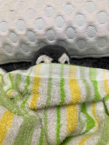 お恵みの時間…🛌