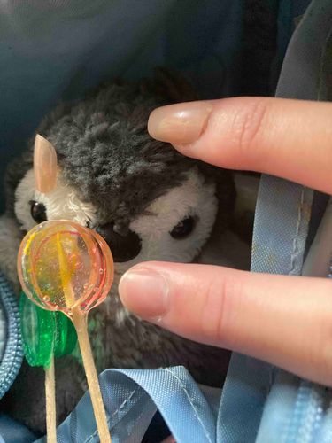 主がネイルチップまた自慢してきたよ…
人差し指取れてんじゃん
小指もサイズなくて付けてないしぃ
合ったの買えよ