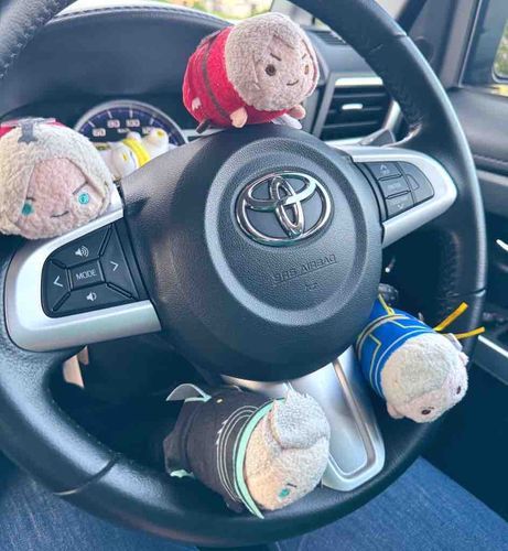 ころんも運転するぞ！