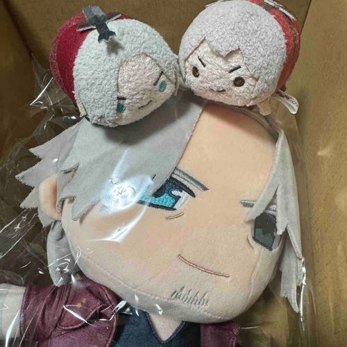 届いた！