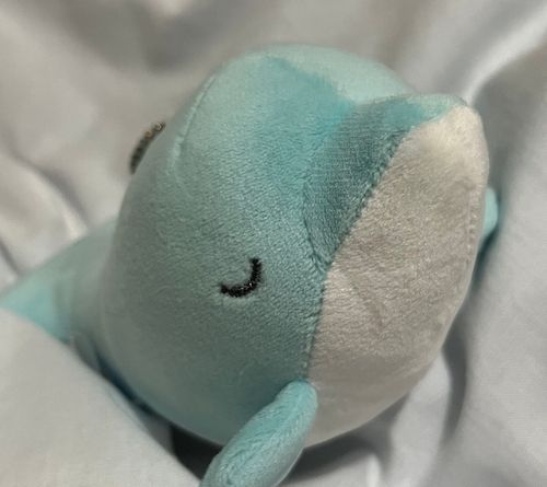 イルカのぬいぐるみのねむじろう
いつも眠そうなお顔をしてるからねむじろうってお名前だよ