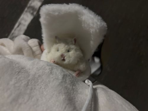 ほら帰るよ