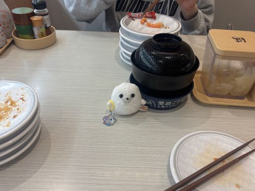 食べ終わる頃に連れてこられたあざらし