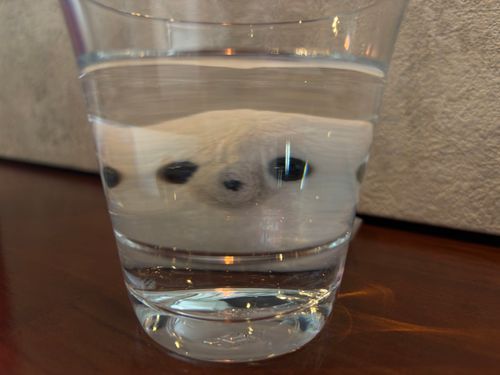 🚰