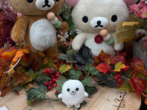 🍂