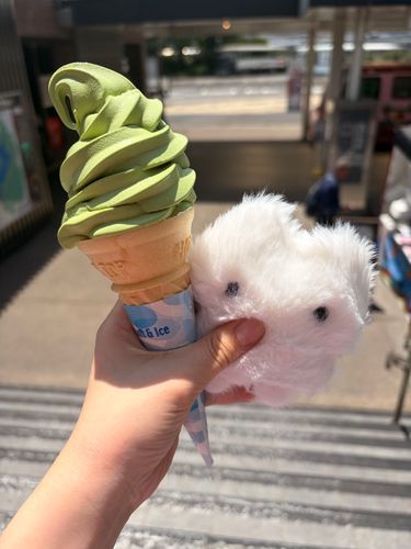 暑いね〜美味しかったわ〜