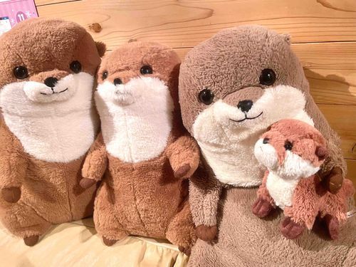 こんにちは
左からおつ ぼくちゃん とつ 非常勤のノラです
よろしくお願いします🌟