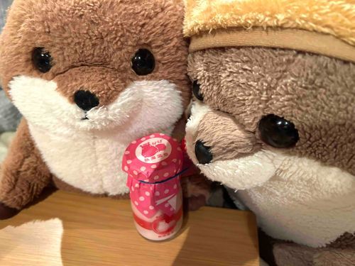 お土産‼️熱海プリンだって🍓