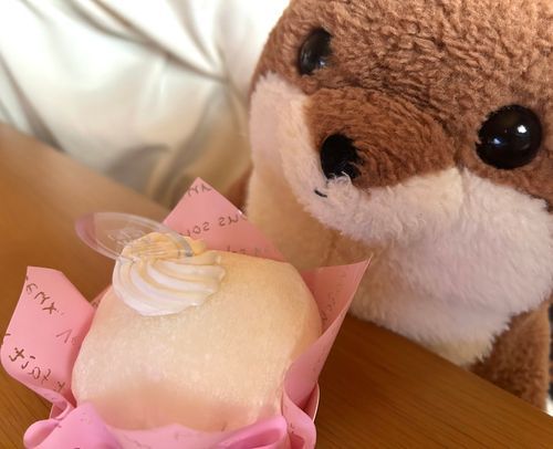 ふわふわでもちもちのケーキ…しあわせ…