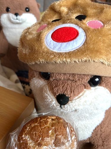 最近ぼくちゃんが歯が痒いみたいでおれのケツ噛まれまくりでぇい……
落ち着いてシュークリームも食えねえなあ