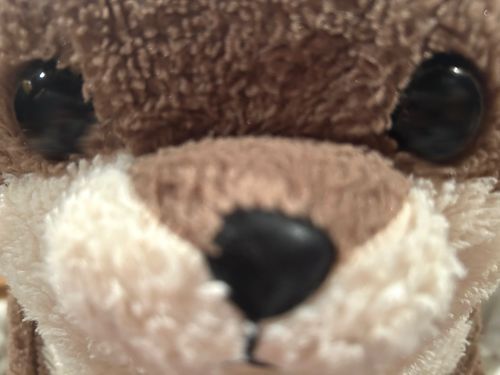 うちのとつは、うざいくらい極度の心配性のため家族の帰りが遅いとこんな写真を送ります。