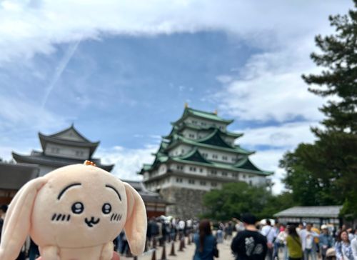 うさぎさん、名古屋城だよ
名古屋城、うさぎさんだよ