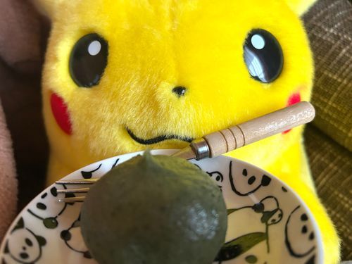 ピカチュ、草餅だよ
草餅、ピカチュだよ