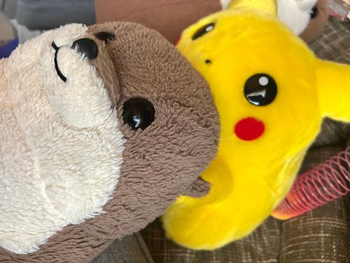 今日はピカチュにヘッドスパしてもらったぞ‼️
上手いんだよな〜ピカチュ