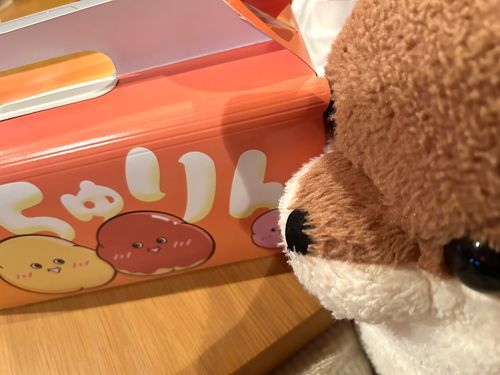 こ、これって……‼️