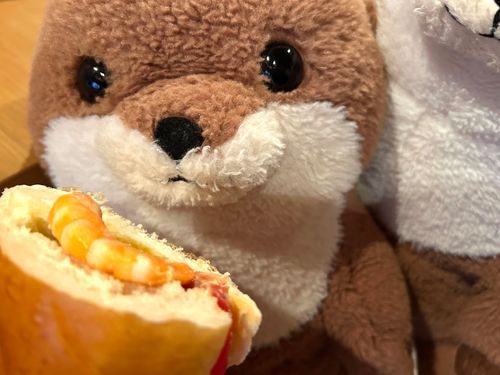 なんと、おつくんが弟のぼくちゃんにいいところ(エビの部分)をあげたのです！！
成長したね、、