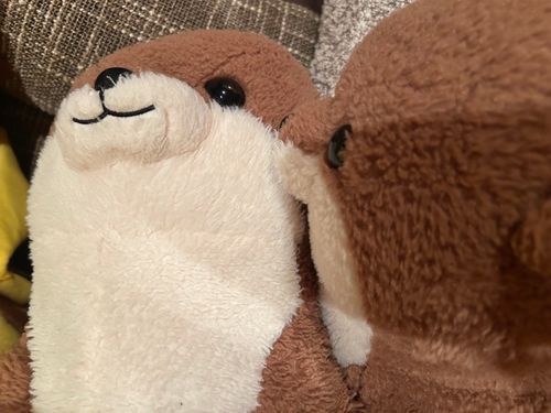 こしょこしょ話かな？？