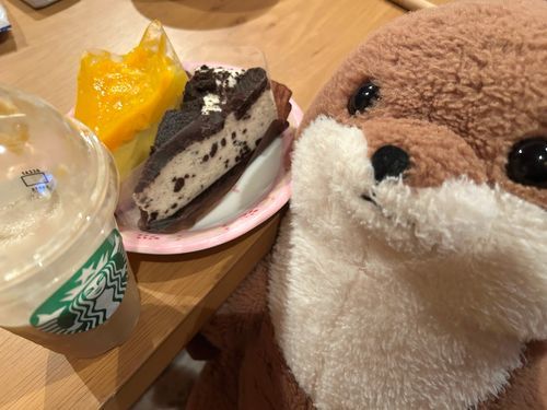 すたぁばっくす贅沢セット🍰🫖