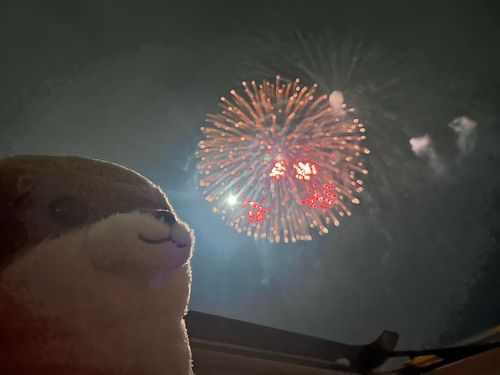 🎇