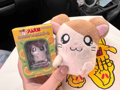 2025.10.09
とっとこハム太郎どーるなのだ🐹