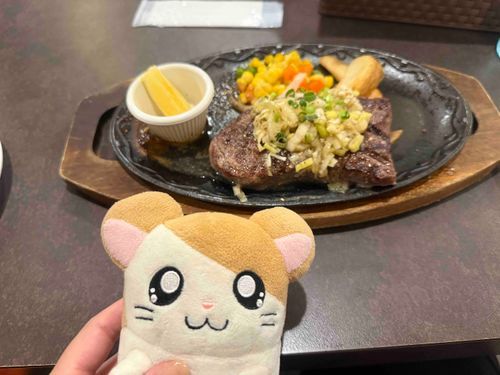 2025.10.18
ステーキなのだ（はすぬま）