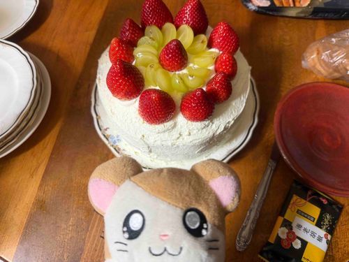 2025.12.31
大晦日に食べた手作りケーキなのだっ🎂
