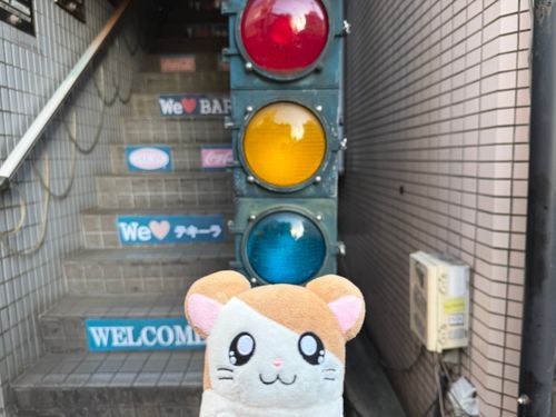 2026.05.11
下北沢