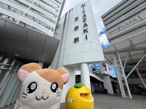 2026.06.03
10時間かけて宮崎へ
