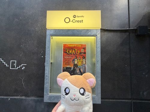 2026.06.19
渋谷O-CrestでCHATSの来日公演なのだ！