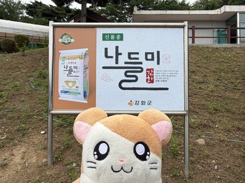 2026.06.22
韓国初上陸なのだ〜