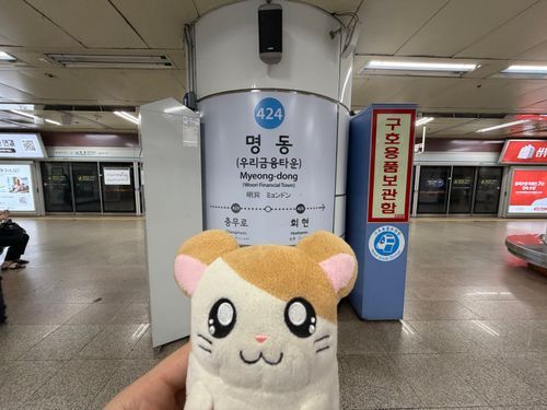 2026.06.23
明洞