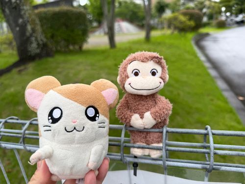 2026.07.08
迷子なのだ、無事に帰れたようなのだ