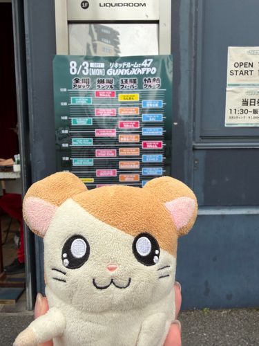 2026.08.03
お昼からフェスなのだ