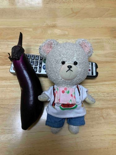ぴーしゃん、モコモコ農園で採れた茄子と背くらべ。
すくすく育った茄子にちょっとだけ負け気味…悔しいなぁ。