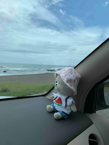 海にドライブ行ってきたの。
晴れてたからお帽子ちゃんと被ったよ！