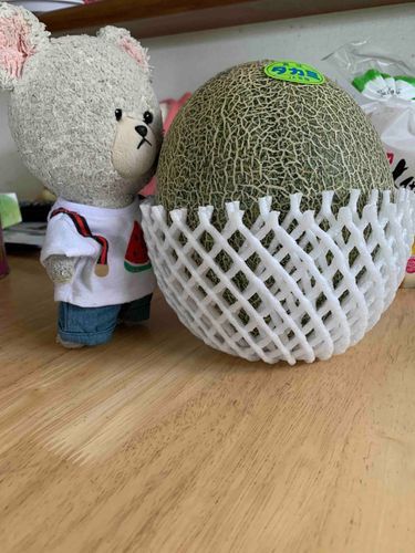 ぴーしゃん、メロン愛溢れてるところなの。
早く熟れて、冷蔵庫にちょっとだけ冷やして…ジュルッといきたい。
そしたら、暑さに耐えられると思うんだ。